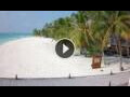 Webcam Meeru Island (North Malé Atoll)