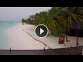 Webcam Île Meeru (Atoll Malé Nord)