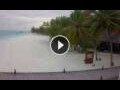 Webcam Isla Meeru (Atolón norte de Malé)