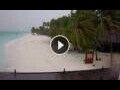Webcam Meeru Island (Nord-Malé-Atoll)