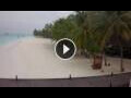 Webcam Meeru Island (North Malé Atoll)