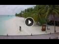 Webcam Meeru Island (Atollo di Malé Nord)