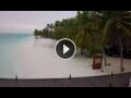 Webcam Île Meeru (Atoll Malé Nord)