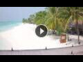Webcam Isla Meeru (Atolón norte de Malé)