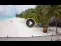 Webcam Isla Meeru (Atolón norte de Malé)