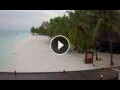 Webcam Meeru Island (Atollo di Malé Nord)