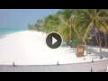 Webcam Meeru Island (North Malé Atoll)