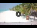Webcam Meeru Island (North Malé Atoll)