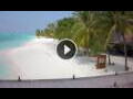 Webcam Isla Meeru (Atolón norte de Malé)