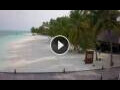 Webcam Meeru Island (Nord-Malé-Atoll)