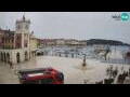 Webcam Rovigno
