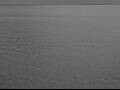 Webcam AIDAdiva