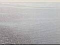 Webcam AIDAdiva