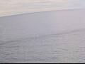 Webcam AIDAbella: View from the Port Side