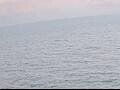 Webcam AIDAbella