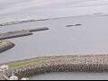 Webcam AIDAbella