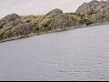 Webcam AIDAbella