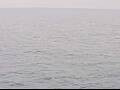Webcam AIDAbella