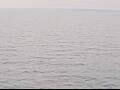 Webcam AIDAbella