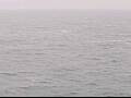 Webcam AIDAbella
