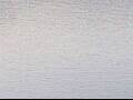 Webcam AIDAluna