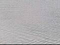 Webcam AIDAluna
