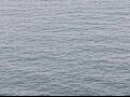 Webcam AIDAluna