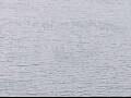 Webcam AIDAluna