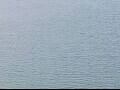 Webcam AIDAluna
