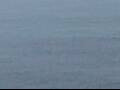 Webcam AIDAluna