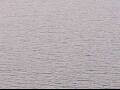 Webcam AIDAluna