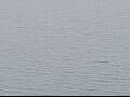 Webcam AIDAluna