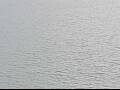 Webcam AIDAluna