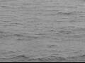 Webcam AIDAluna