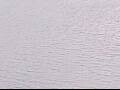 Webcam AIDAluna
