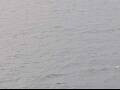 Webcam AIDAluna