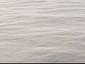 Webcam AIDAluna