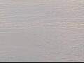 Webcam AIDAluna