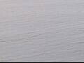 Webcam AIDAluna