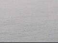 Webcam AIDAluna