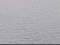 Webcam AIDAluna