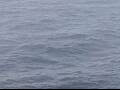 Webcam AIDAluna