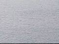 Webcam AIDAluna