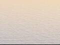 Webcam AIDAluna