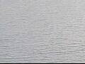 Webcam AIDAluna