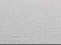 Webcam AIDAluna