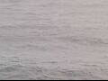 Webcam AIDAluna