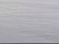 Webcam AIDAluna