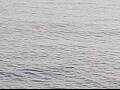 Webcam AIDAluna