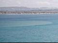Webcam AIDAblu
